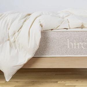 birch Natural Down Duvet Insert