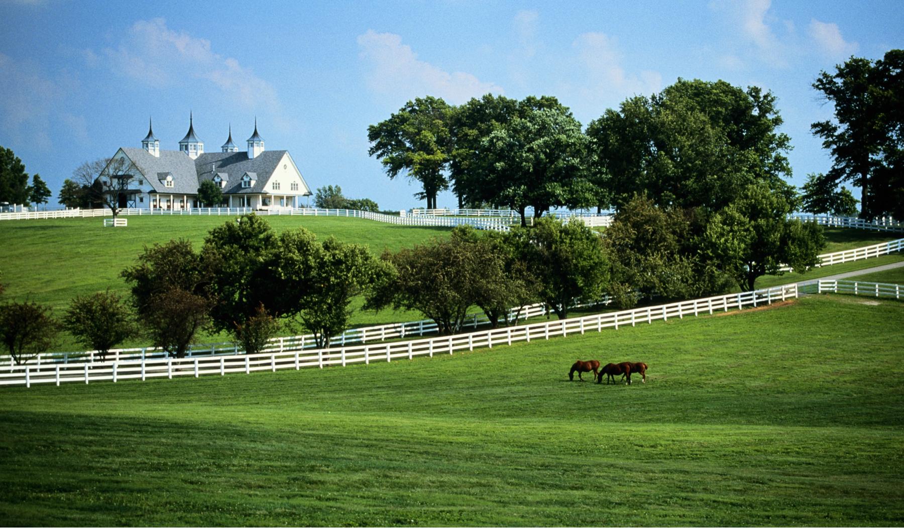 The Wedding Website of Dan Darby and Taylor Ford