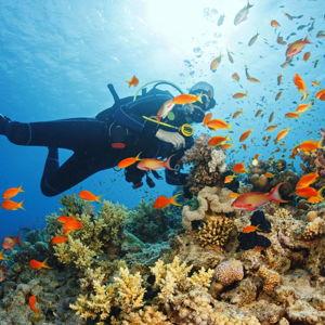 Scuba Diving in Mozambique