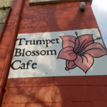Trumpet Blossom Cafe