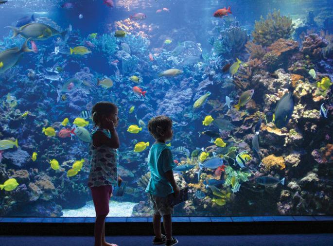 Maui Ocean Center Aquarium🐠🐙🐬