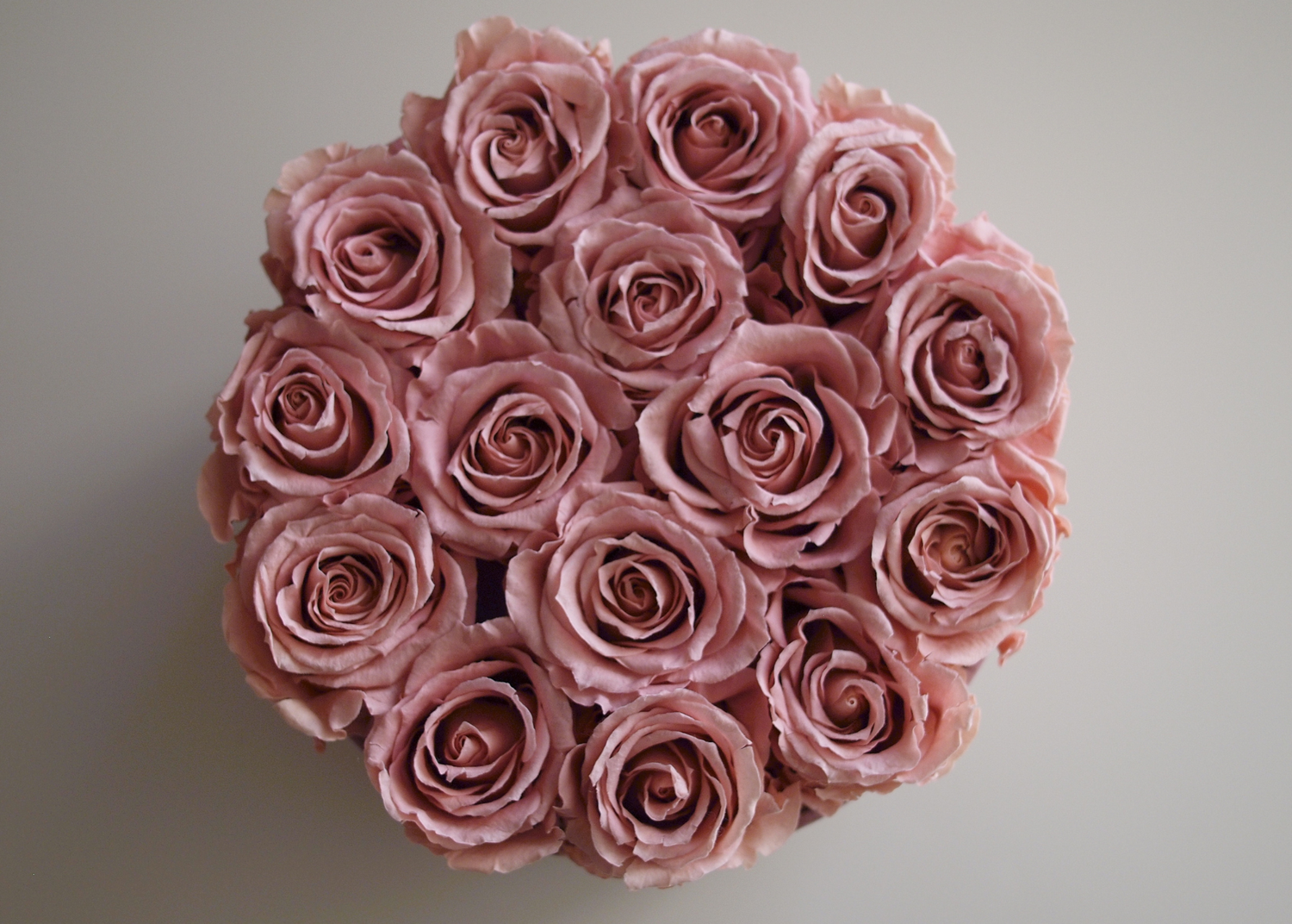 The Wedding Website of Miranda Jackson and Travis Gore