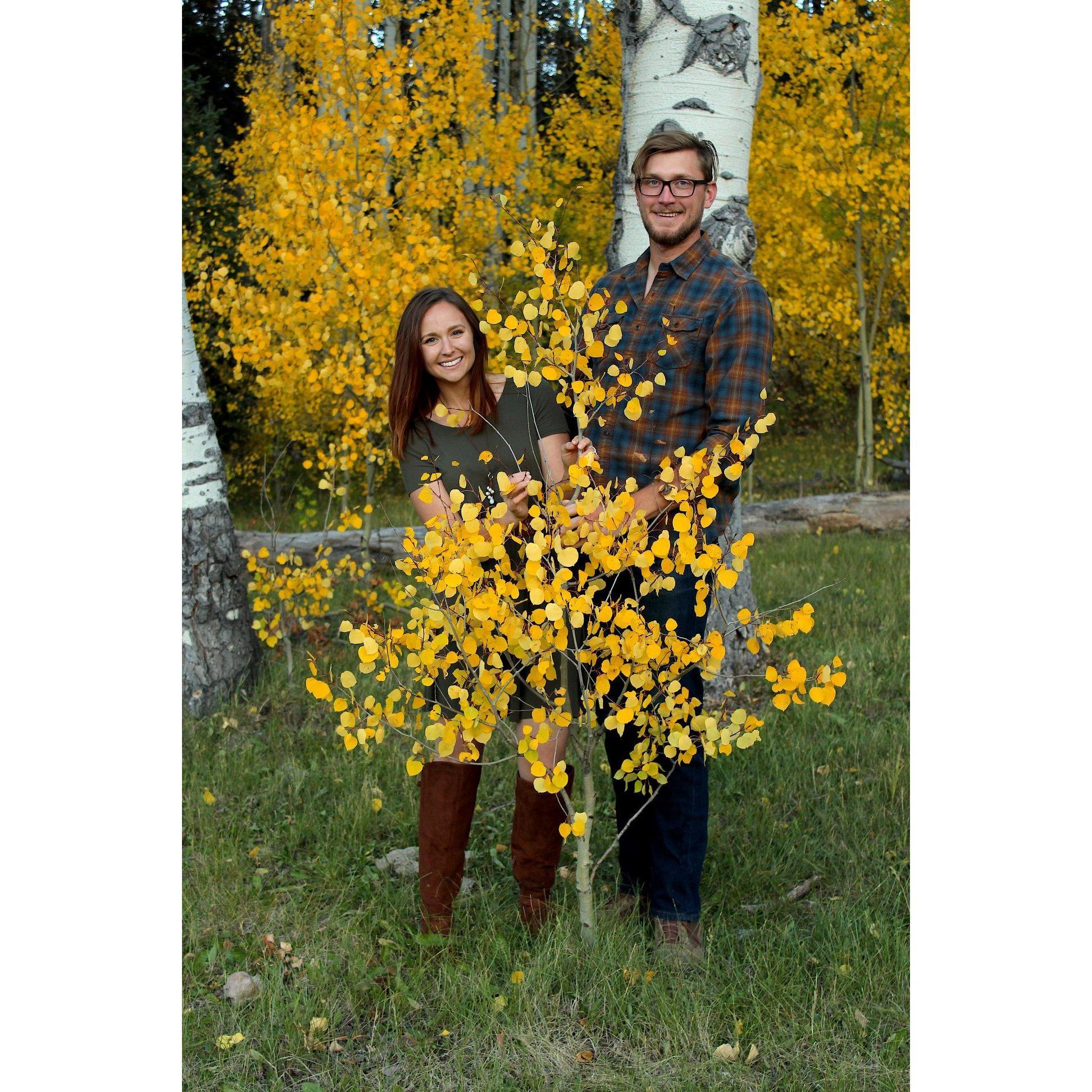 Engagement shoot that we were completely unable to take seriously.