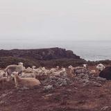 Coastal Walks & Beaches