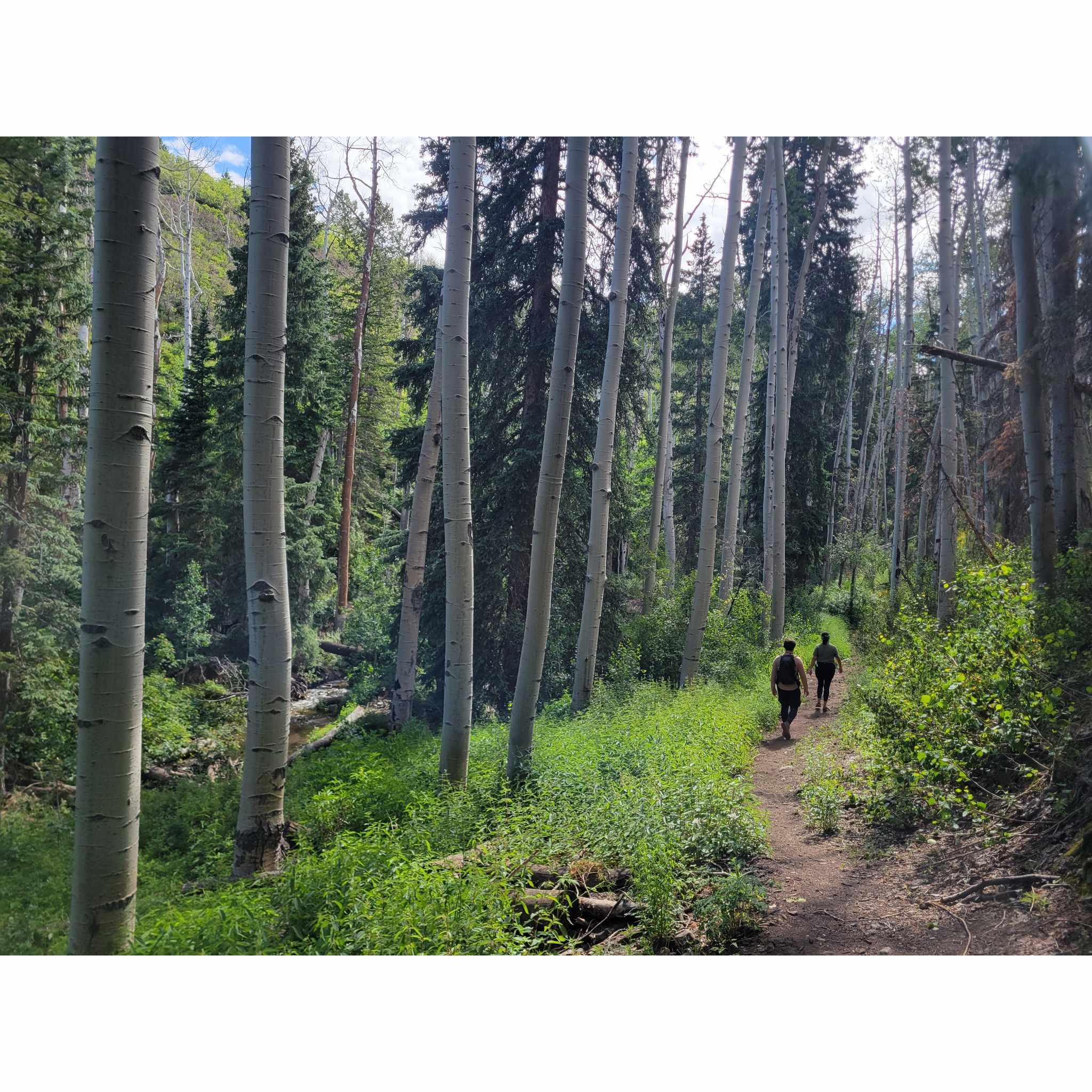 La Sal Mountains, UT