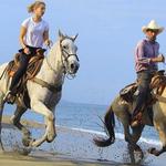Sayulita Atvs, Horseback and Zip Line Tours