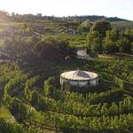 Tenuta di Torciano, San Gimignano