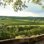 Driftwood Estate Winery