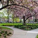 Morristown Green