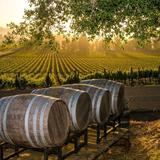 North Fork