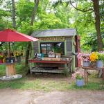Mermaid Farm & Dairy
