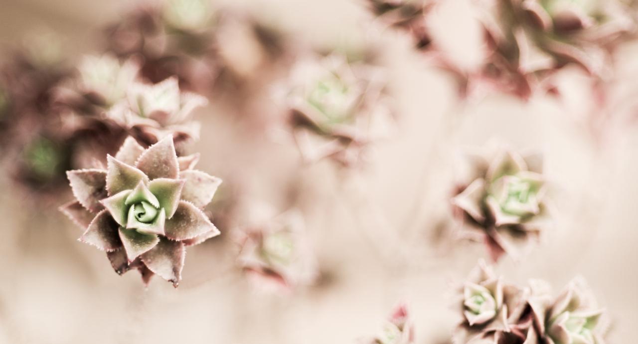 Footer image