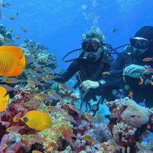Scuba Diving in Kauai