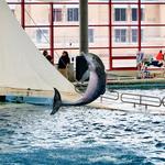 National Aquarium