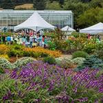 Humboldt Botanical Garden