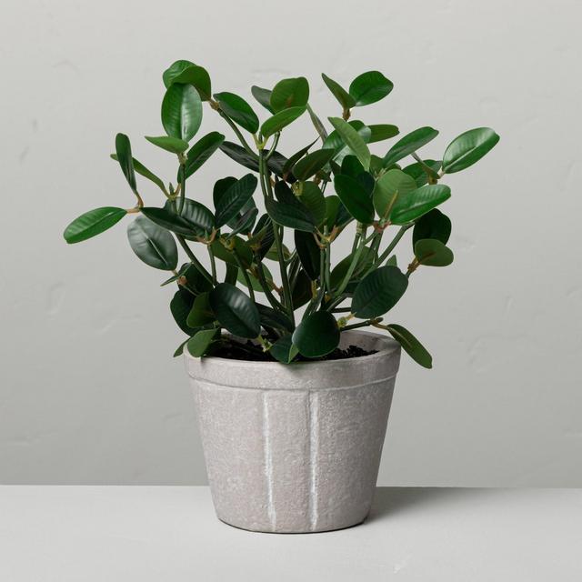 7.5" Mini Faux Bean Potted Plant - Hearth & Hand™ with Magnolia