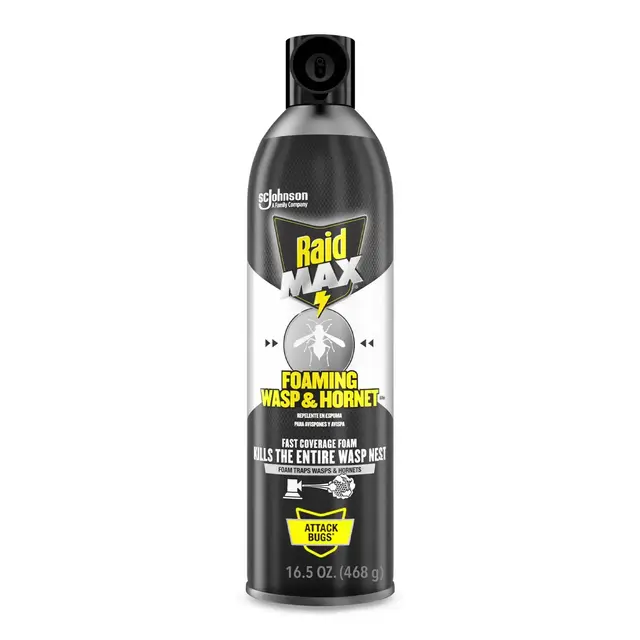 Raid Max Wasp and Hornet Foaming - 16.5oz