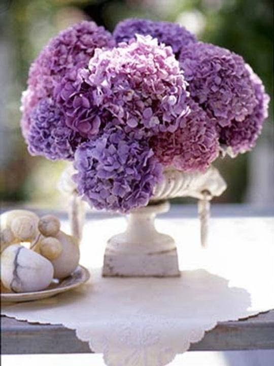 The Wedding Website of Walter Alba and Crystal Lanuza