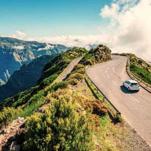 Transportation & Travel