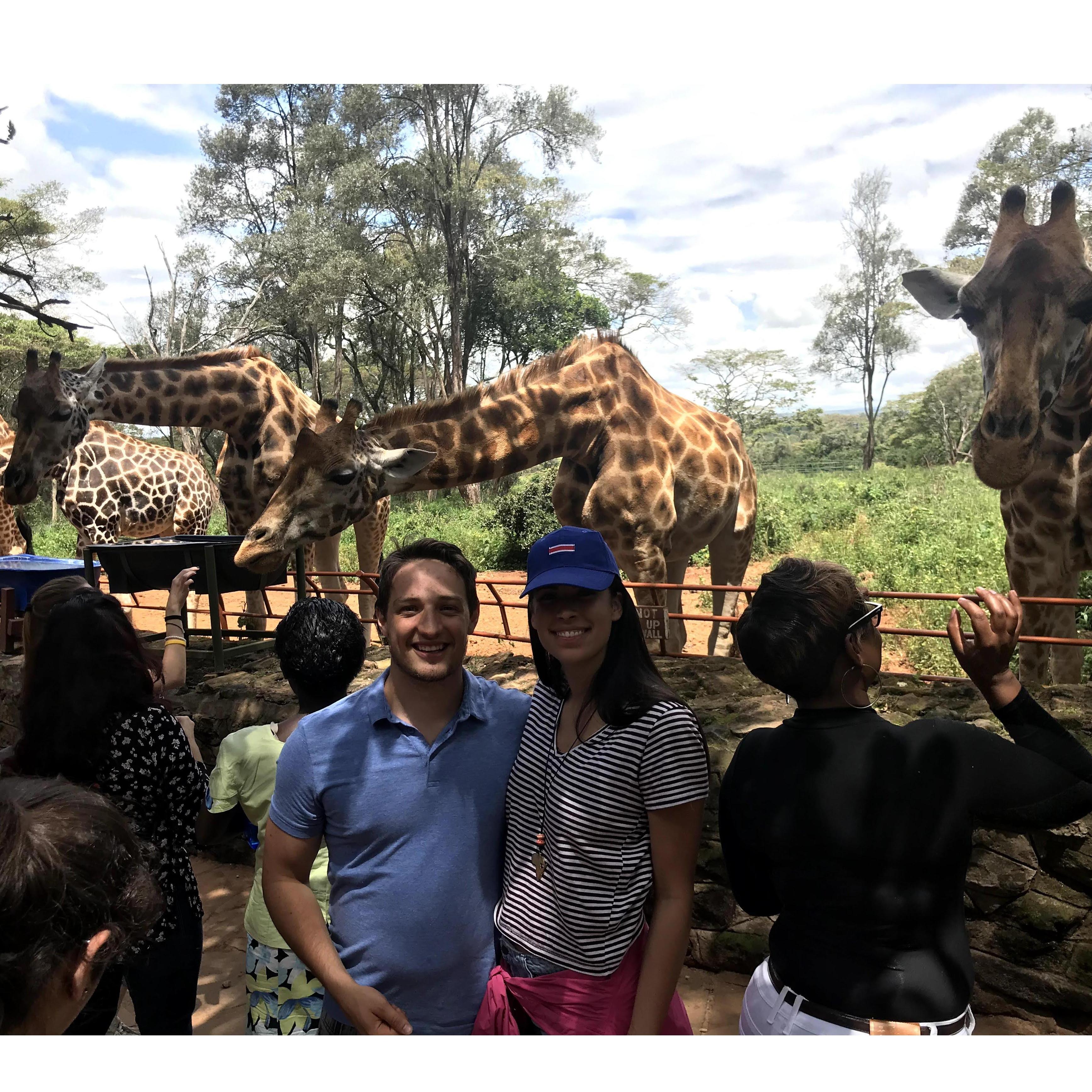 Giraffe sanctuary in Kenya