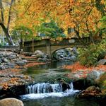 Lithia Park