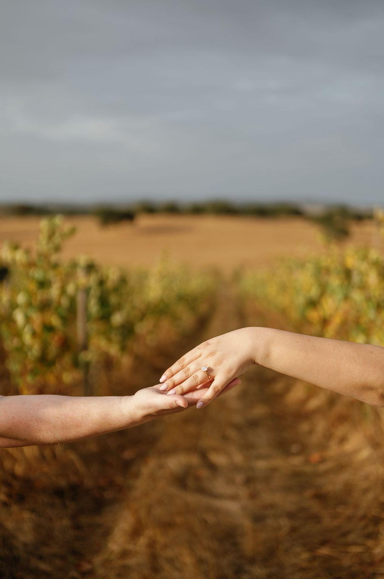 The Wedding Website of Christopher Six and Lindsay Palma