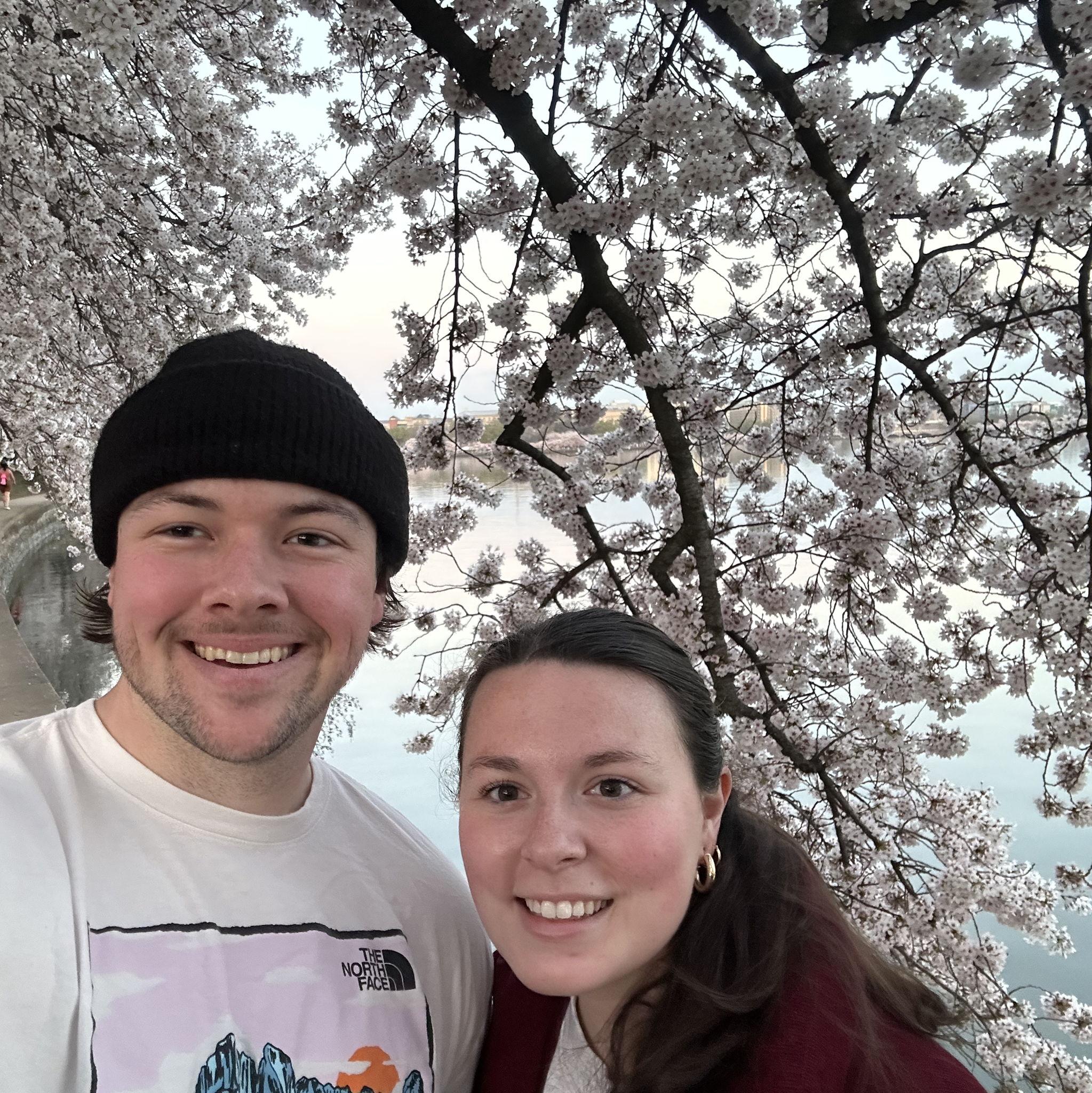 Our first time seeing the cherry blossoms in DC, March 2023