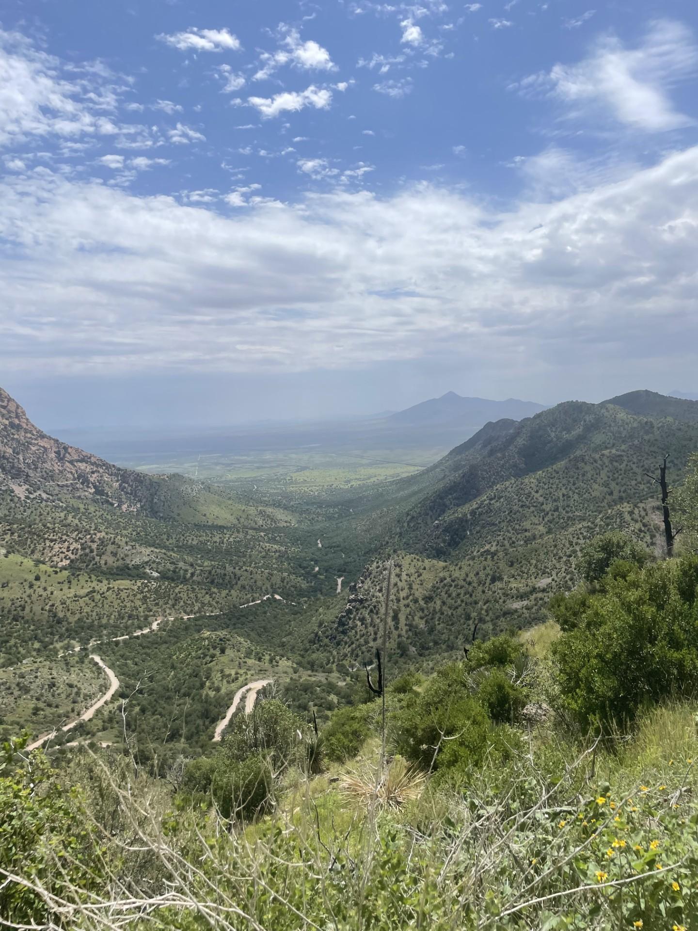 The Wedding Website of Avery Wooldridge and Alissa Salomon