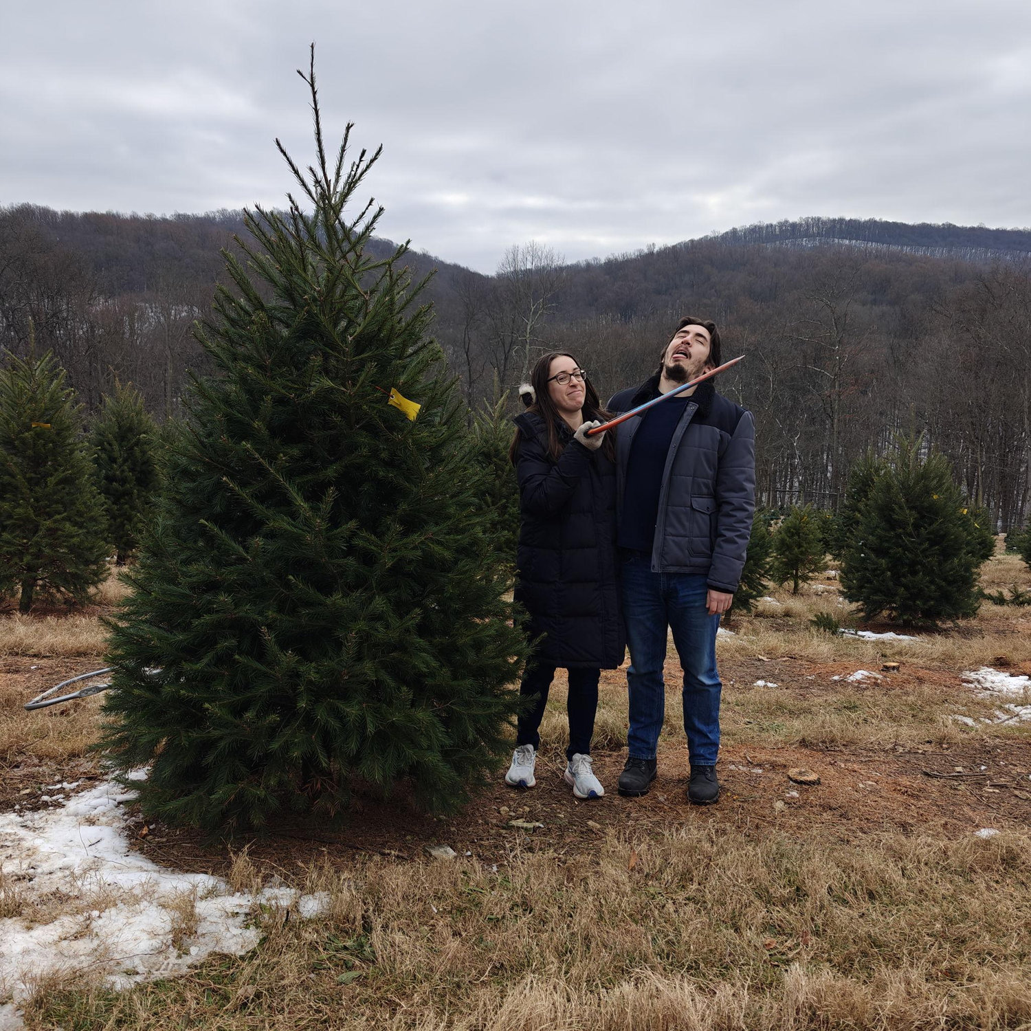 Abby's 3rd ever Christmas tree!