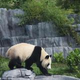San Diego Zoo