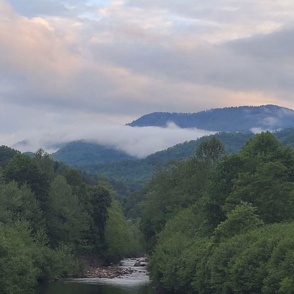 The views at Lake Logan
