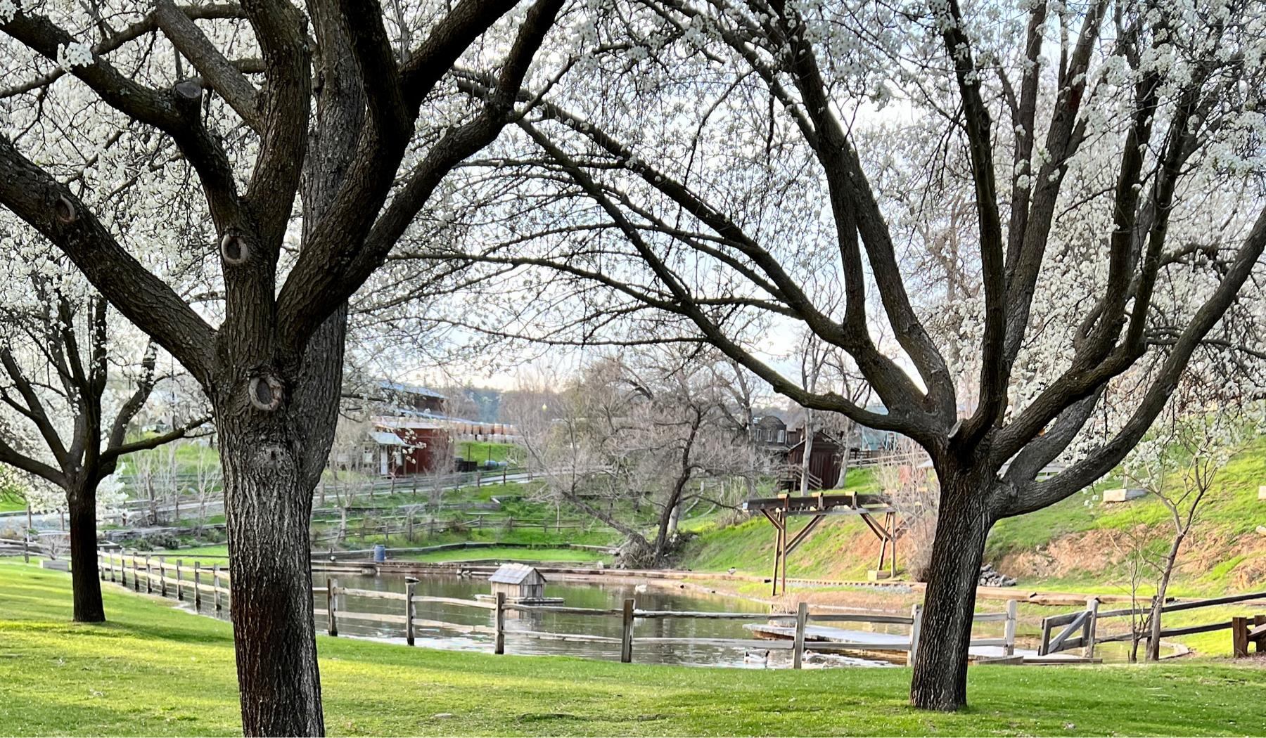 The Wedding Website of Elizabeth Engle and Shane Hansen