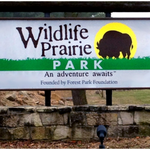 Wildlife Prairie Park