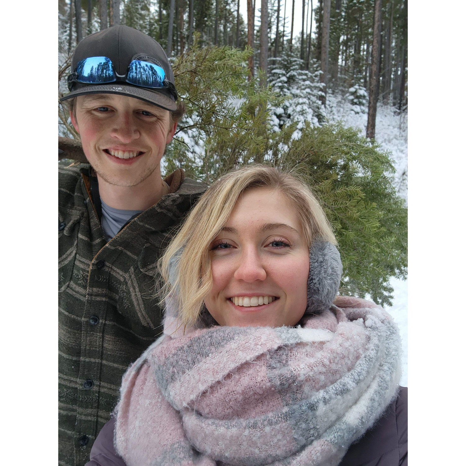 Going Christmas tree hunting!