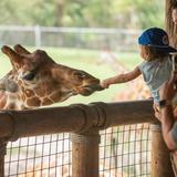 Jacksonville Zoo and Botanical Gardens