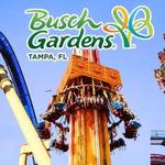 Busch Gardens Tampa Bay