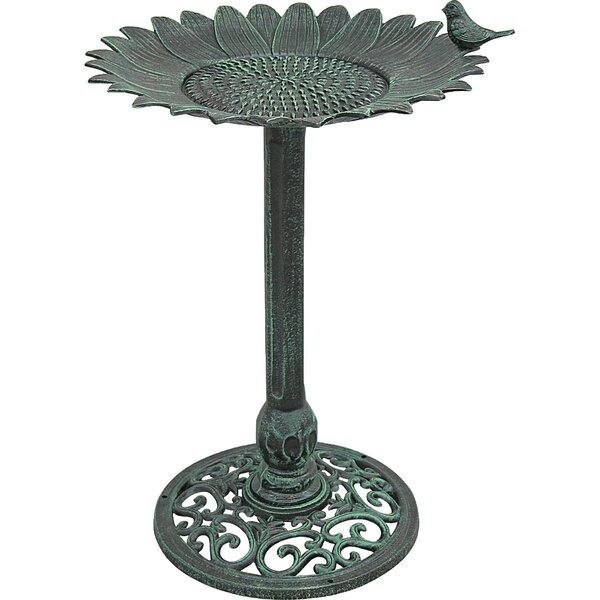 Sunflower Sunflower Birdbath