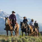 Horseback Riding