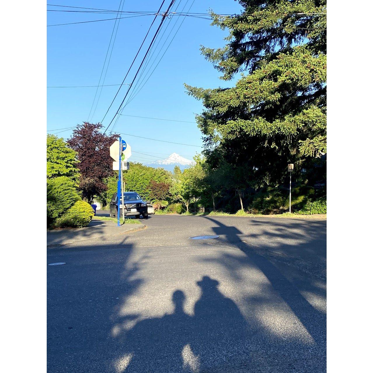 Many walks around Megan's neighborhood, hi Mt Hood (: