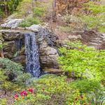 Garvan Woodland Gardens