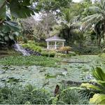 Jardín Else Kientzler