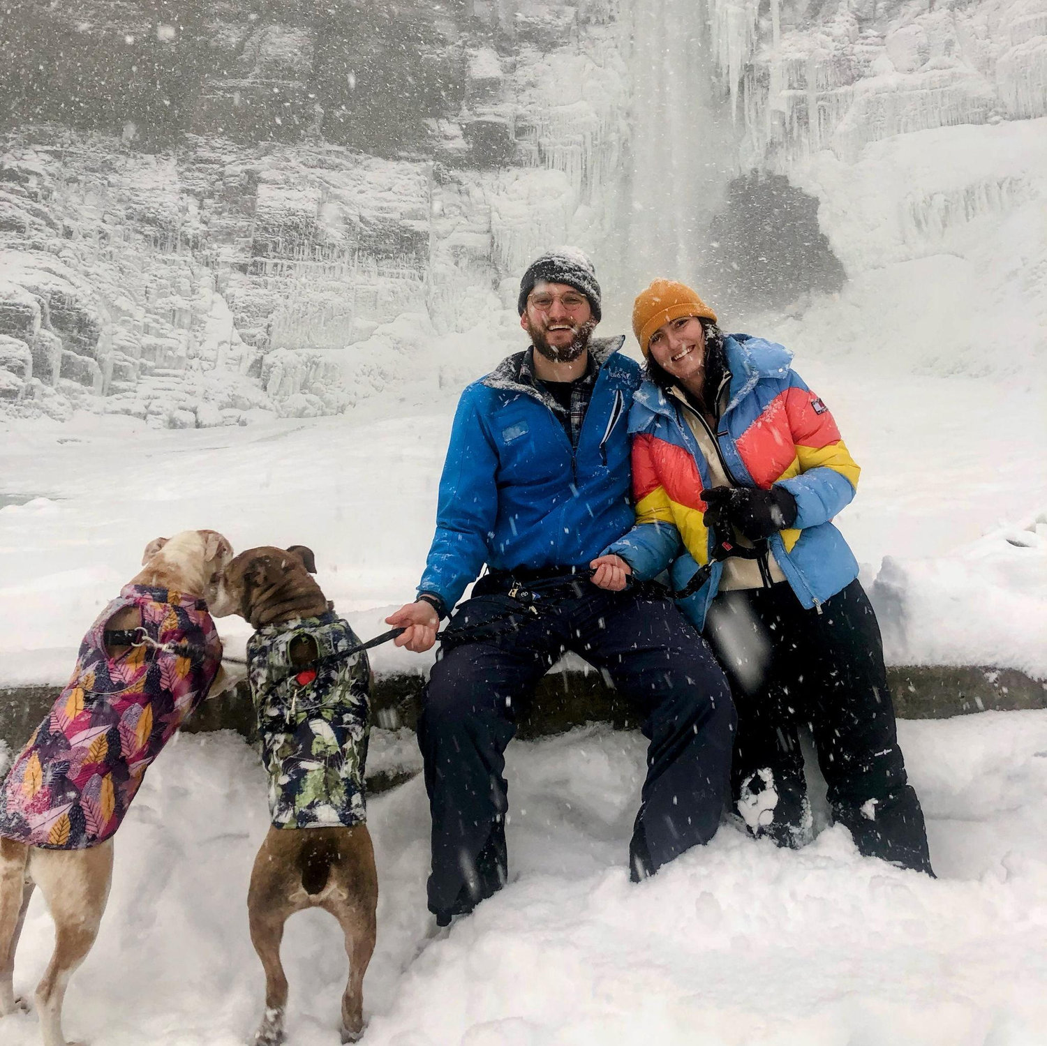 Snowy Ithaca Winter and Junie gets a little bro Bruce