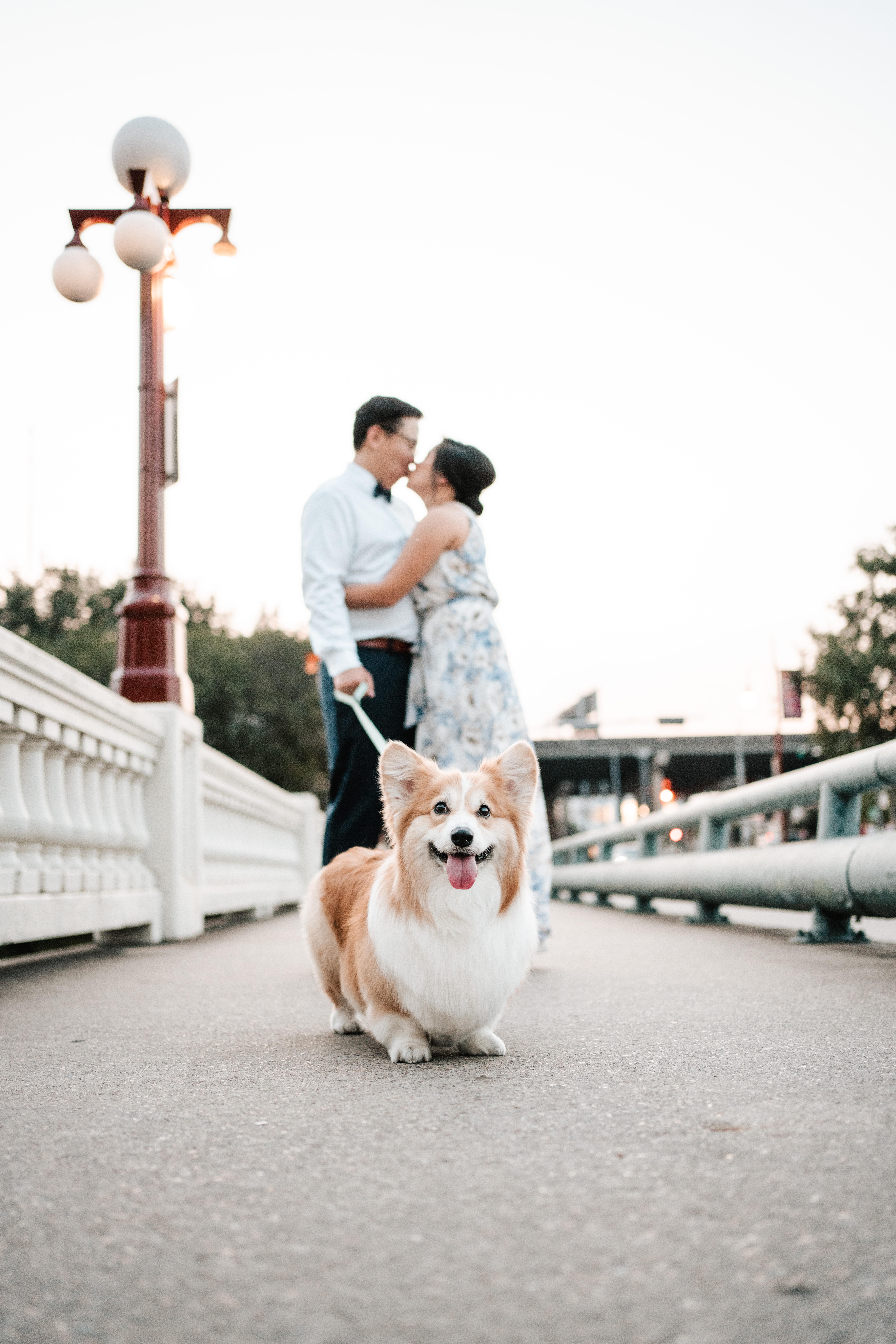 The Wedding Website of Abigail Paz and Terence Ko