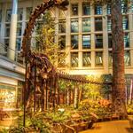 Carnegie Museum of Natural History