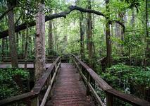 First Landing State Park