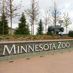 Minnesota Zoo