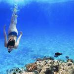 Head out on a Cruise and Snorkelling Tour