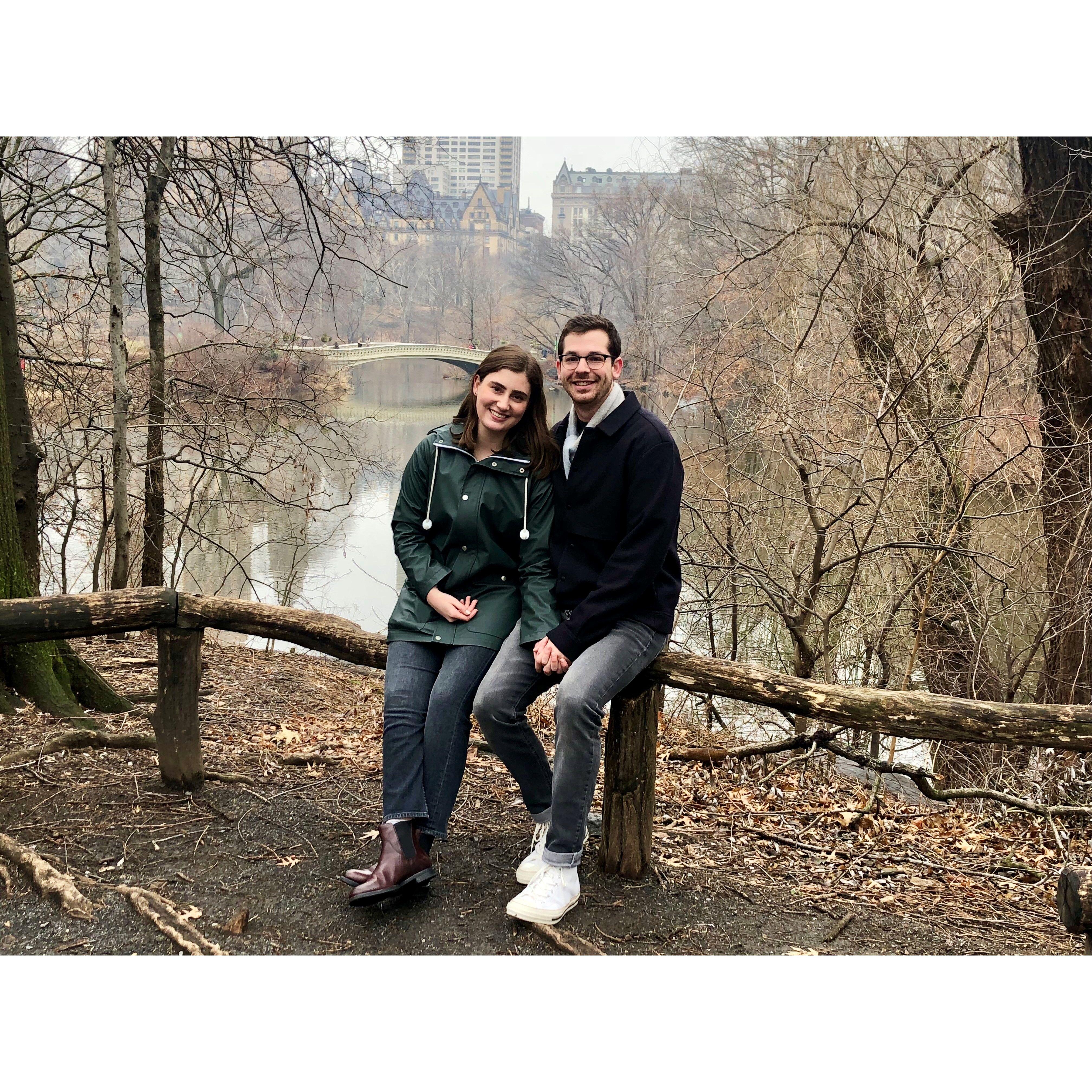 Central Park, January 2019.