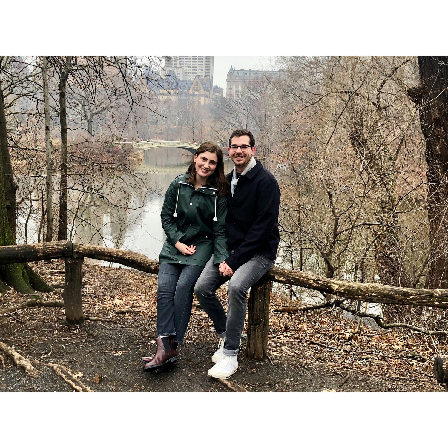Central Park, January 2019.