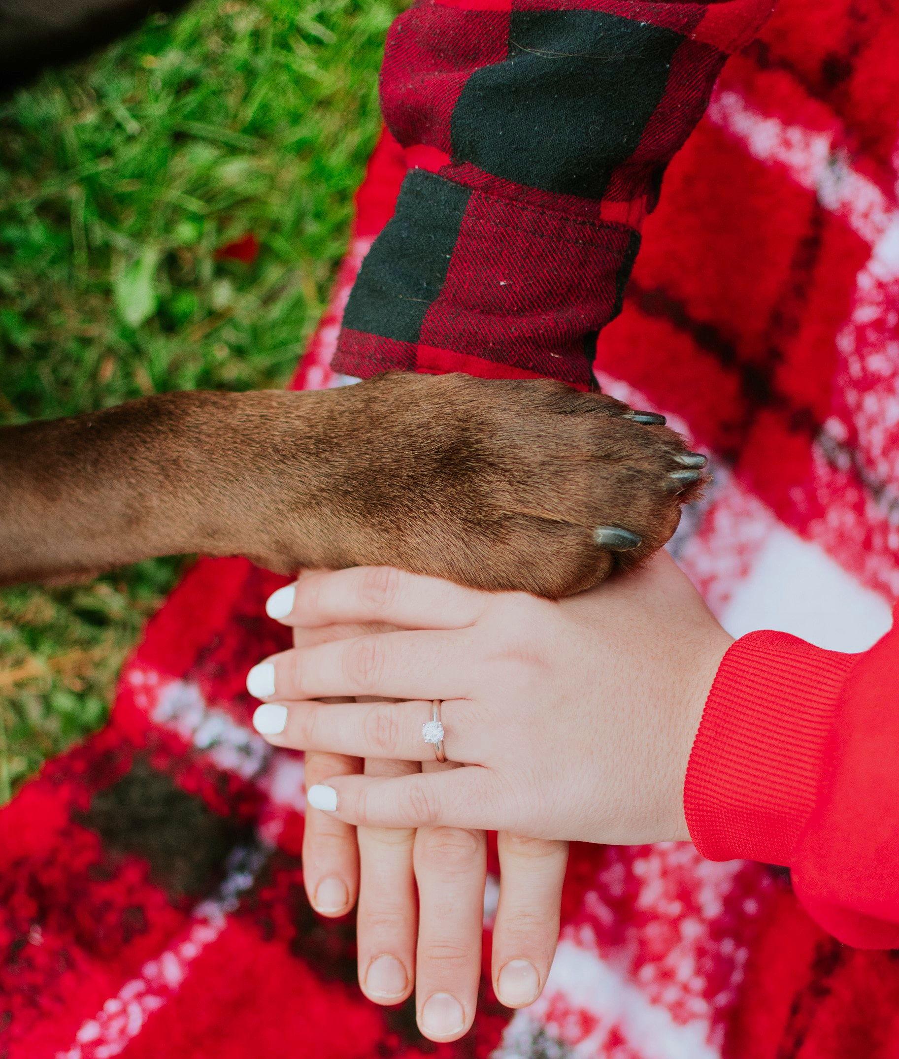 The Wedding Website of Jessie Houp and Brady Rippel